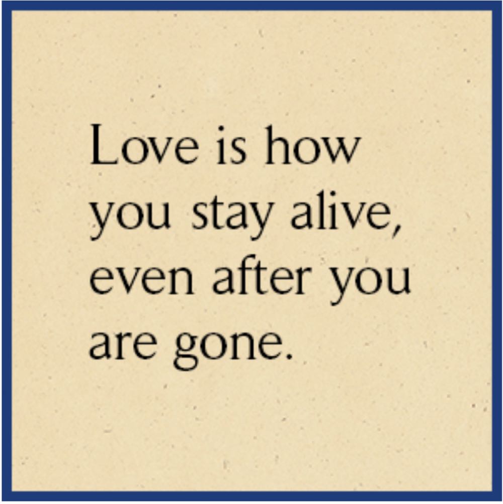 Tuesdays With Morrie - Mitch Albom (Crown - Kindle) book collectible [Barcode 9780307414090] - Main Image 4