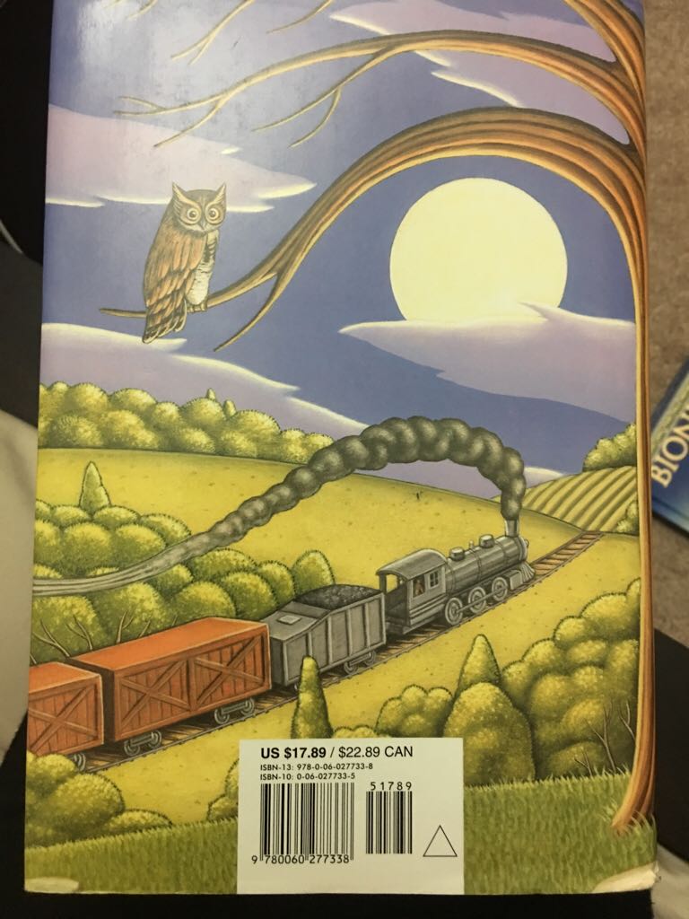 Ruby Holler - Sharon Creech (Joanna Cotler Books) book collectible [Barcode 9780060277338] - Main Image 2