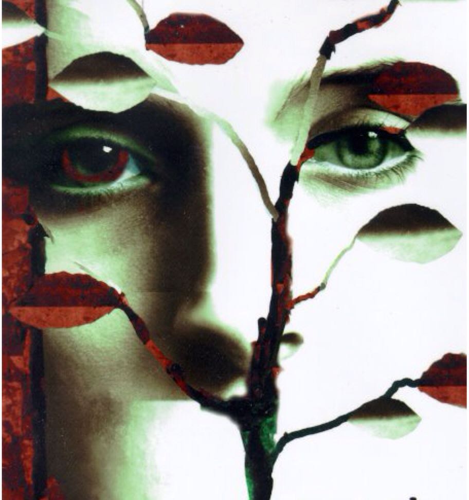 The Night Before Christmas