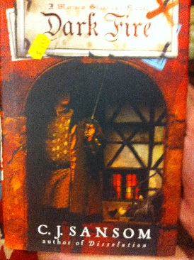 Dark Fire - Christine Feehan (Pan Publishing - Hardcover) book collectible [Barcode 9780330411974] - Main Image 1