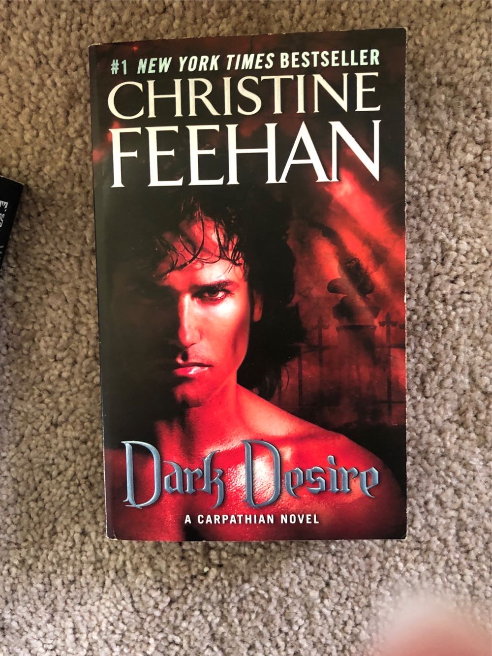 Dark Demon - Christine Feehan (Jove - Paperback) book collectible [Barcode 9780515140880] - Main Image 3