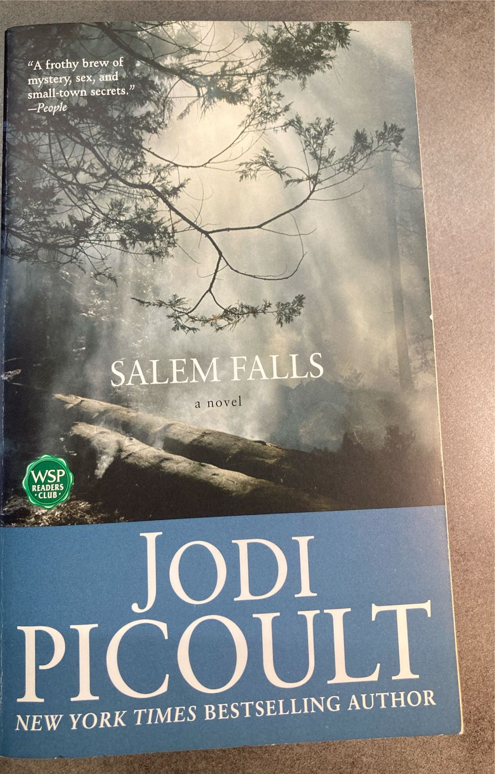 Salem Falls - Jodi Picoult (Washington Square Press - Paperback) book collectible [Barcode 9780743418713] - Main Image 3