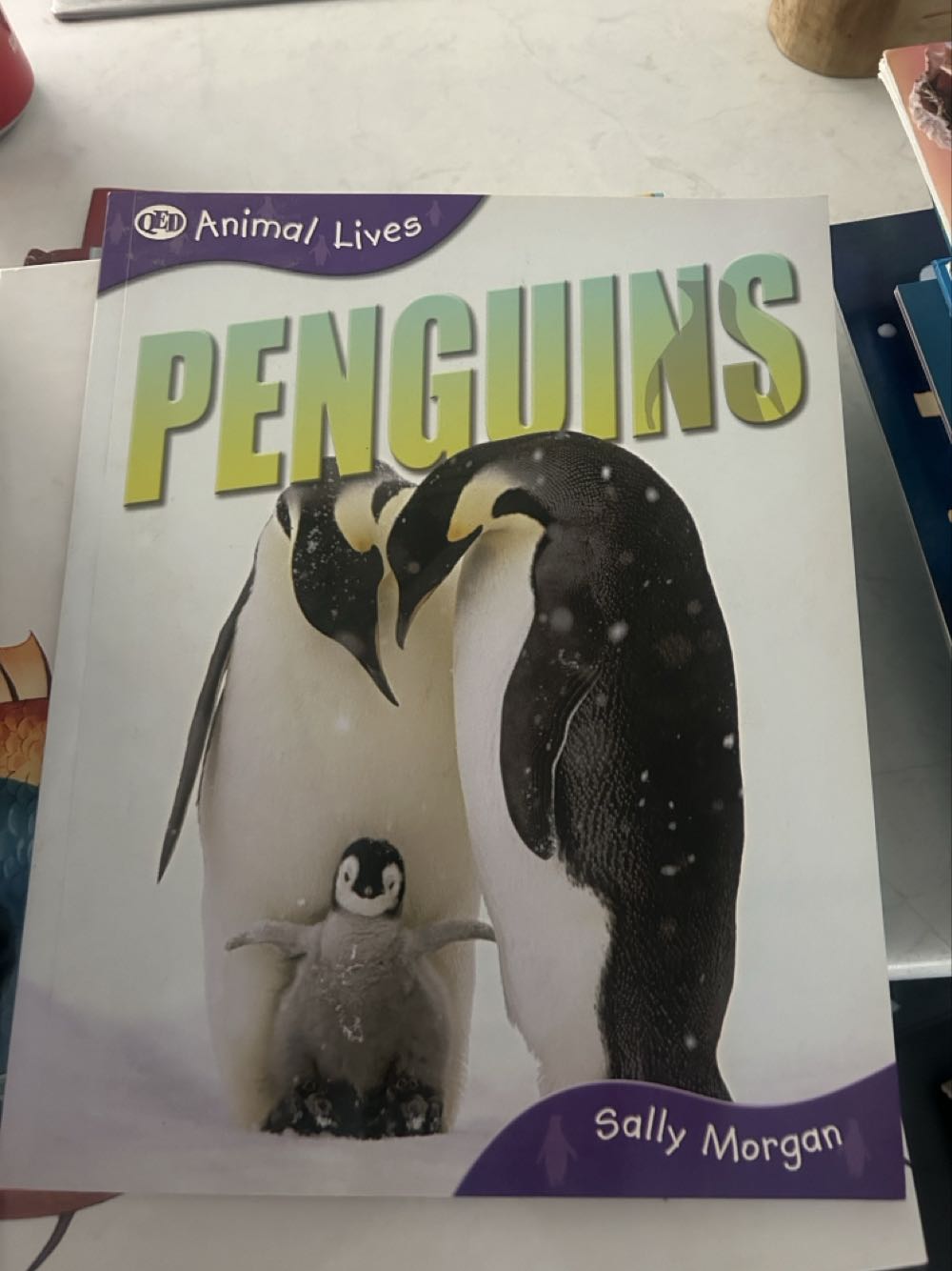 Elephants - Sally Morgan (Sea Creatures) book collectible [Barcode 9781845385668] - Main Image 2