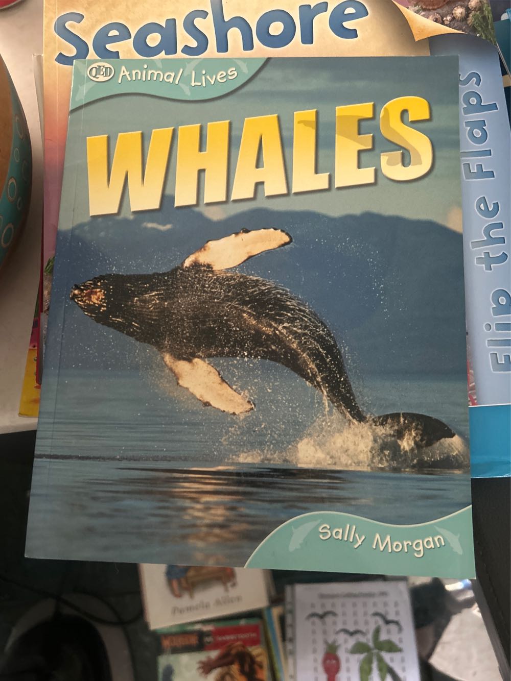 Elephants - Sally Morgan (Sea Creatures) book collectible [Barcode 9781845385668] - Main Image 3