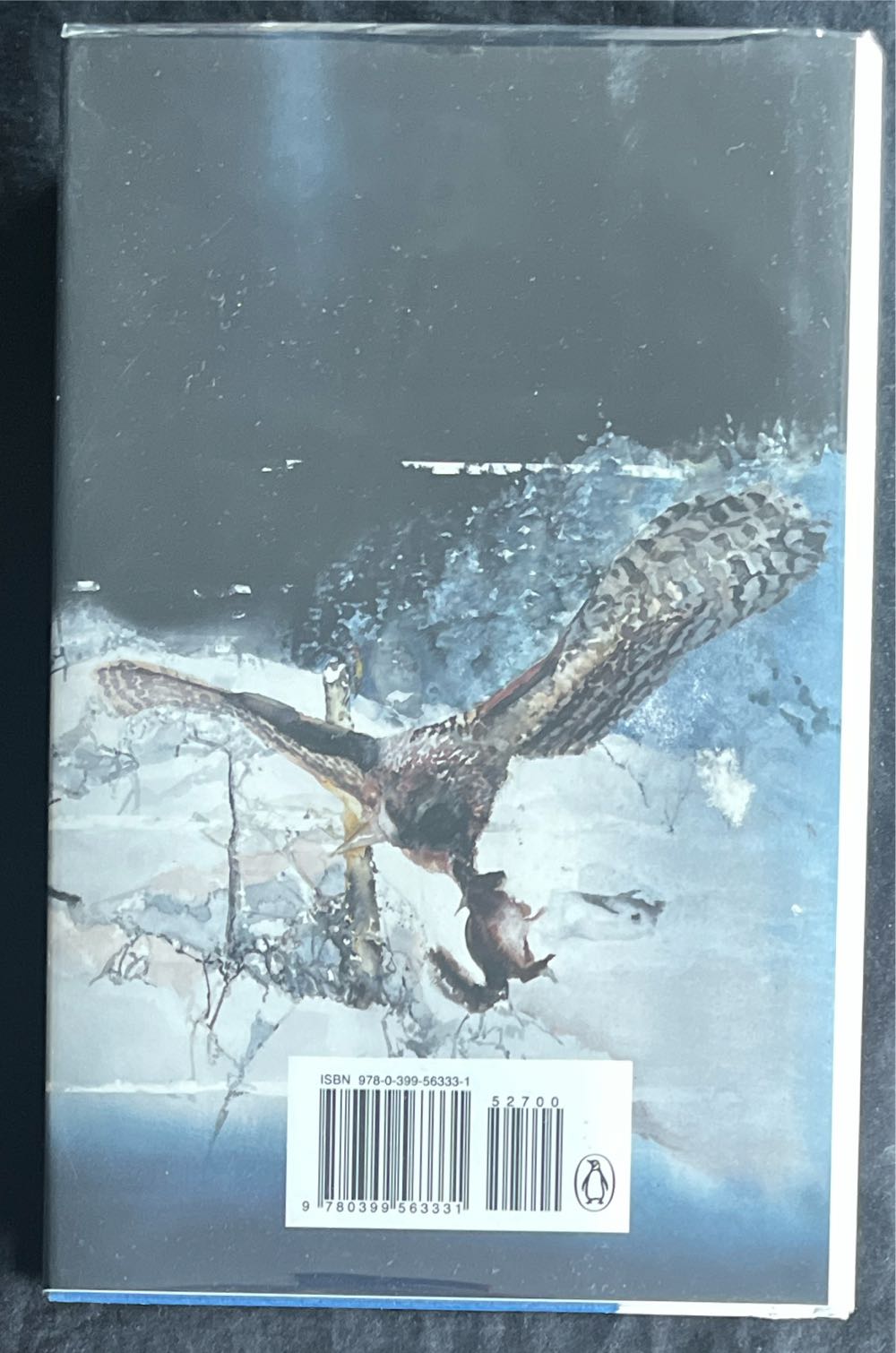 Winter: Letter to an Unborn Daughter - Karl Ove Knausgaard (Penguin Press - Hardcover) book collectible [Barcode 9780399563331] - Main Image 2