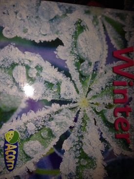 The Night Before Christmas