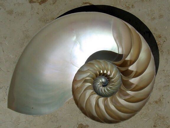 The Night Before Christmas