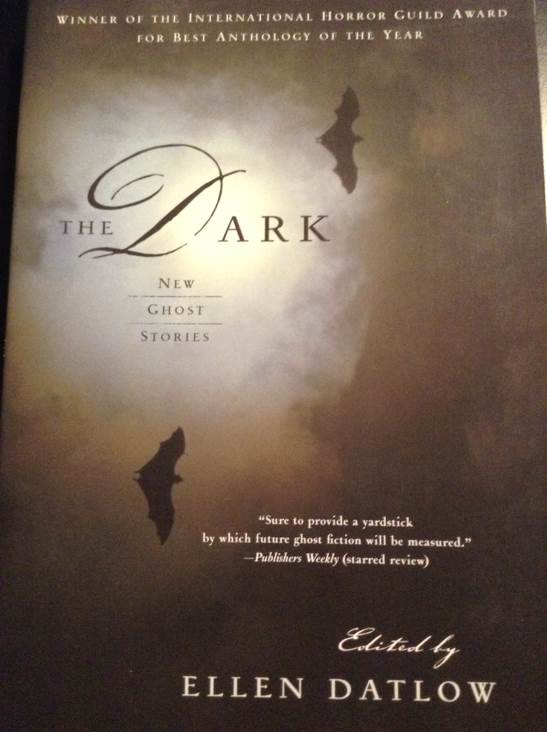 The Dark - Ellen Datlow (Macmillan - Trade Paperback) book collectible [Barcode 9780765304452] - Main Image 1