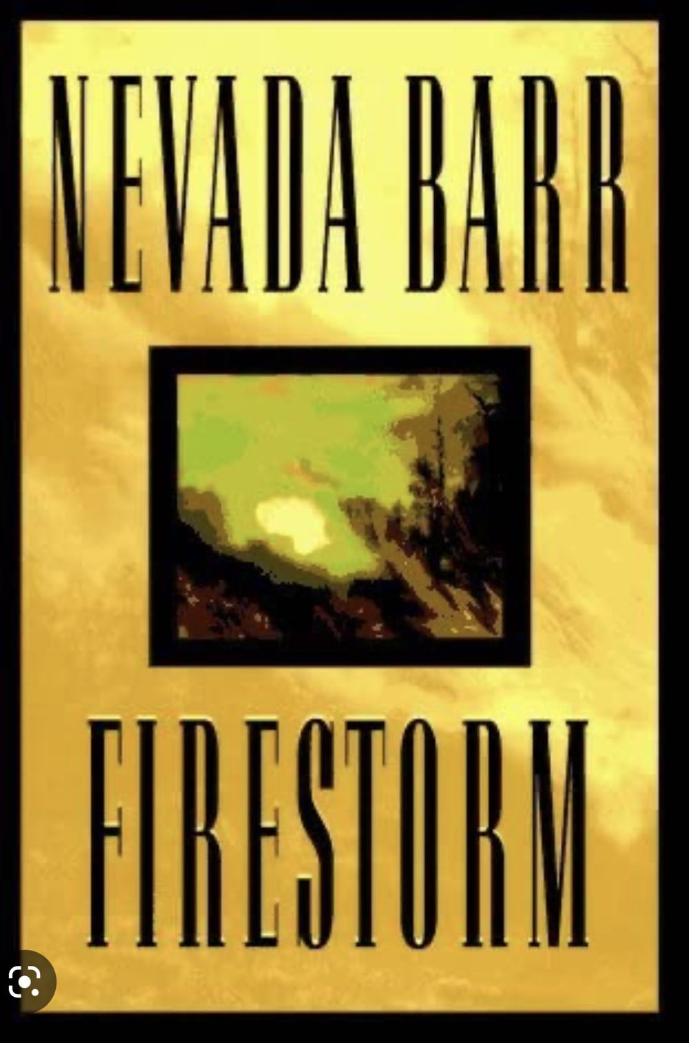 Firestorm - Nevada Barr (Audible Audiobook - Paperback) book collectible [Barcode 9780425220382] - Main Image 2
