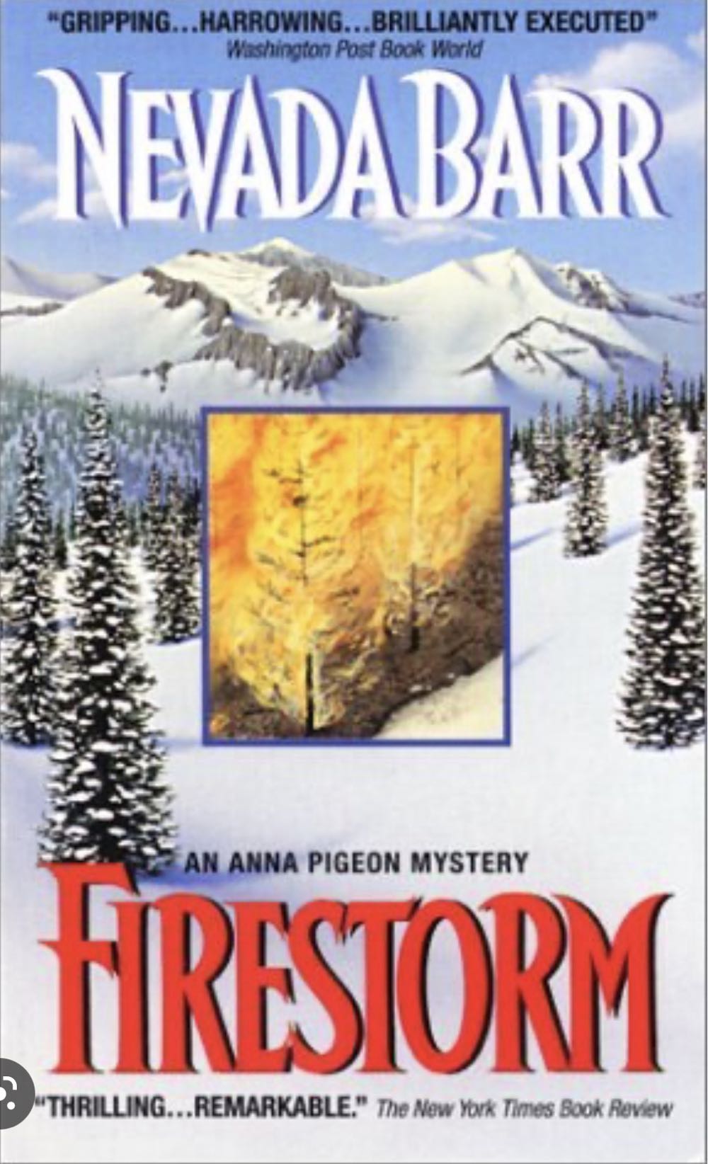 Firestorm - Nevada Barr (Audible Audiobook - Paperback) book collectible [Barcode 9780425220382] - Main Image 3