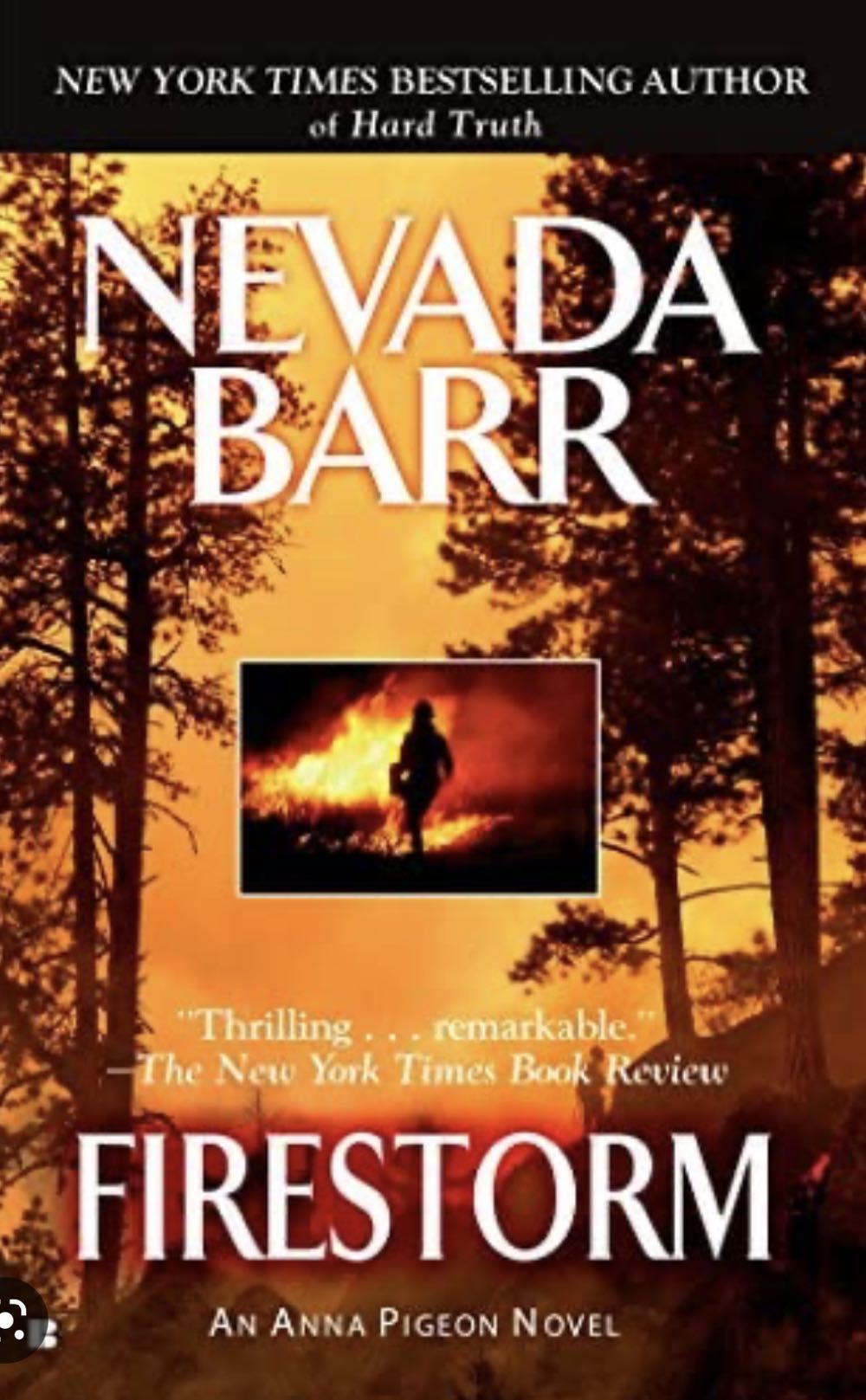 Firestorm - Nevada Barr (Audible Audiobook - Paperback) book collectible [Barcode 9780425220382] - Main Image 4