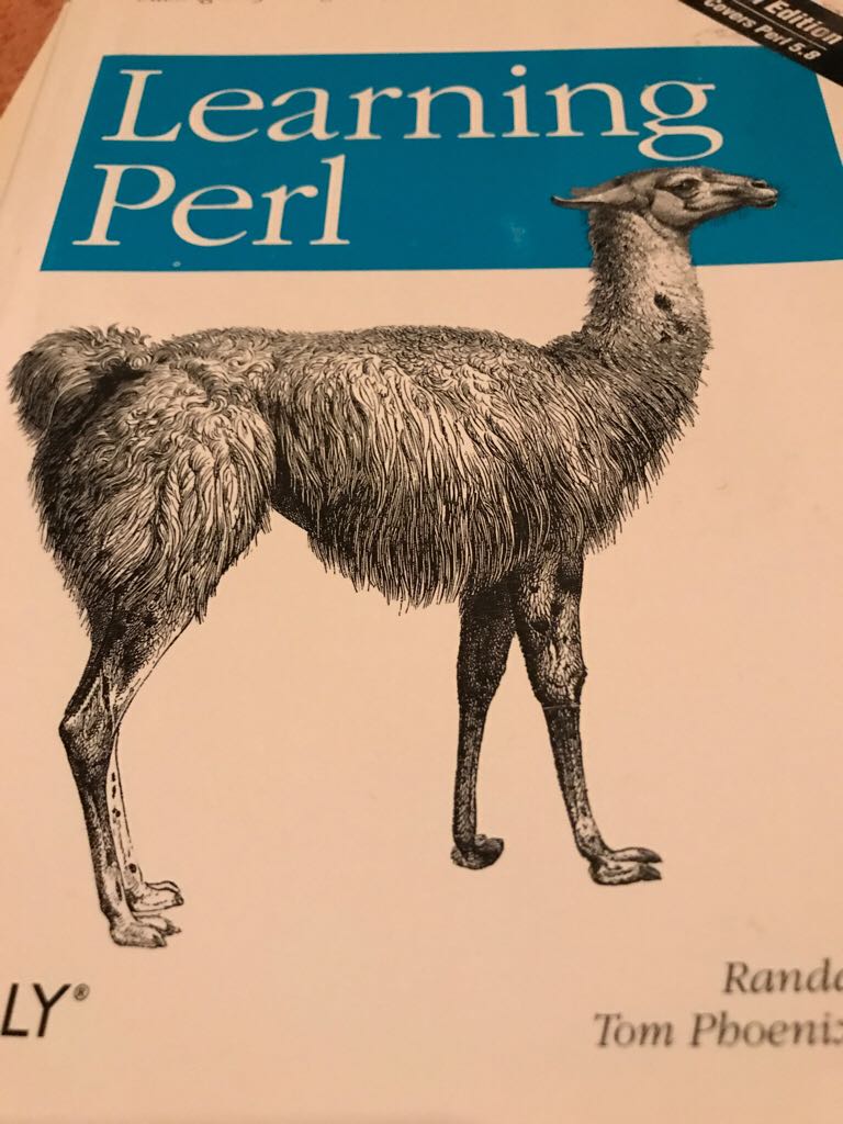 Image 3563264