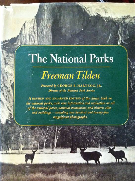 Thief With No Shadow