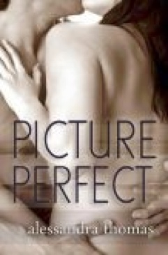 Picture Perfect (Self Published - eBook) book collectible - Main Image 1