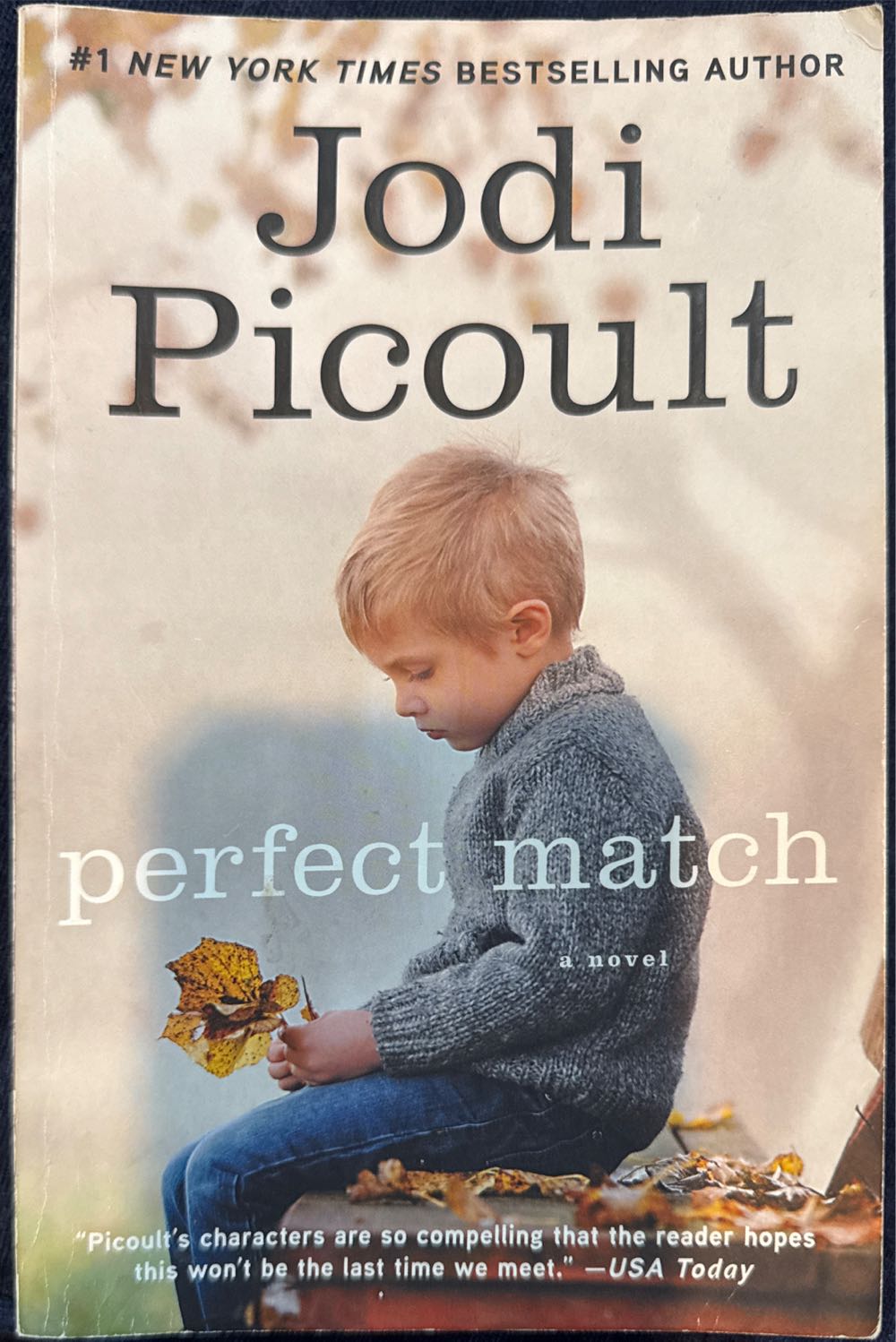 Perfect Match - Jodi Picoult (Washington Square Press, a division of Simon & Schuster, Inc. - Paperback) book collectible [Barcode 9780743418737] - Main Image 4