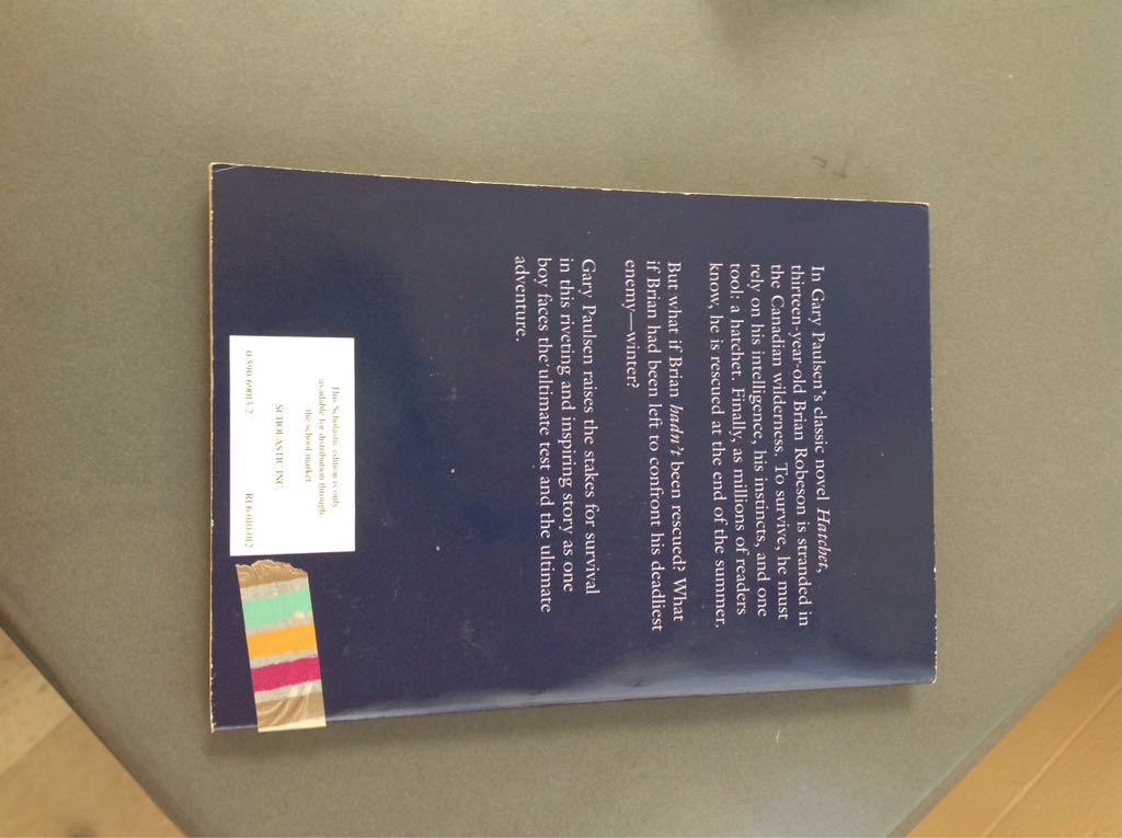 Brians Winter - Paulsen, Gary book collectible - Main Image 2