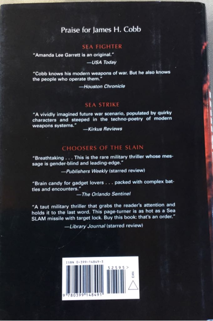 Target Lock - James H. Cobb (Putnam Publishing Group - Hardcover) book collectible [Barcode 9780399148491] - Main Image 2