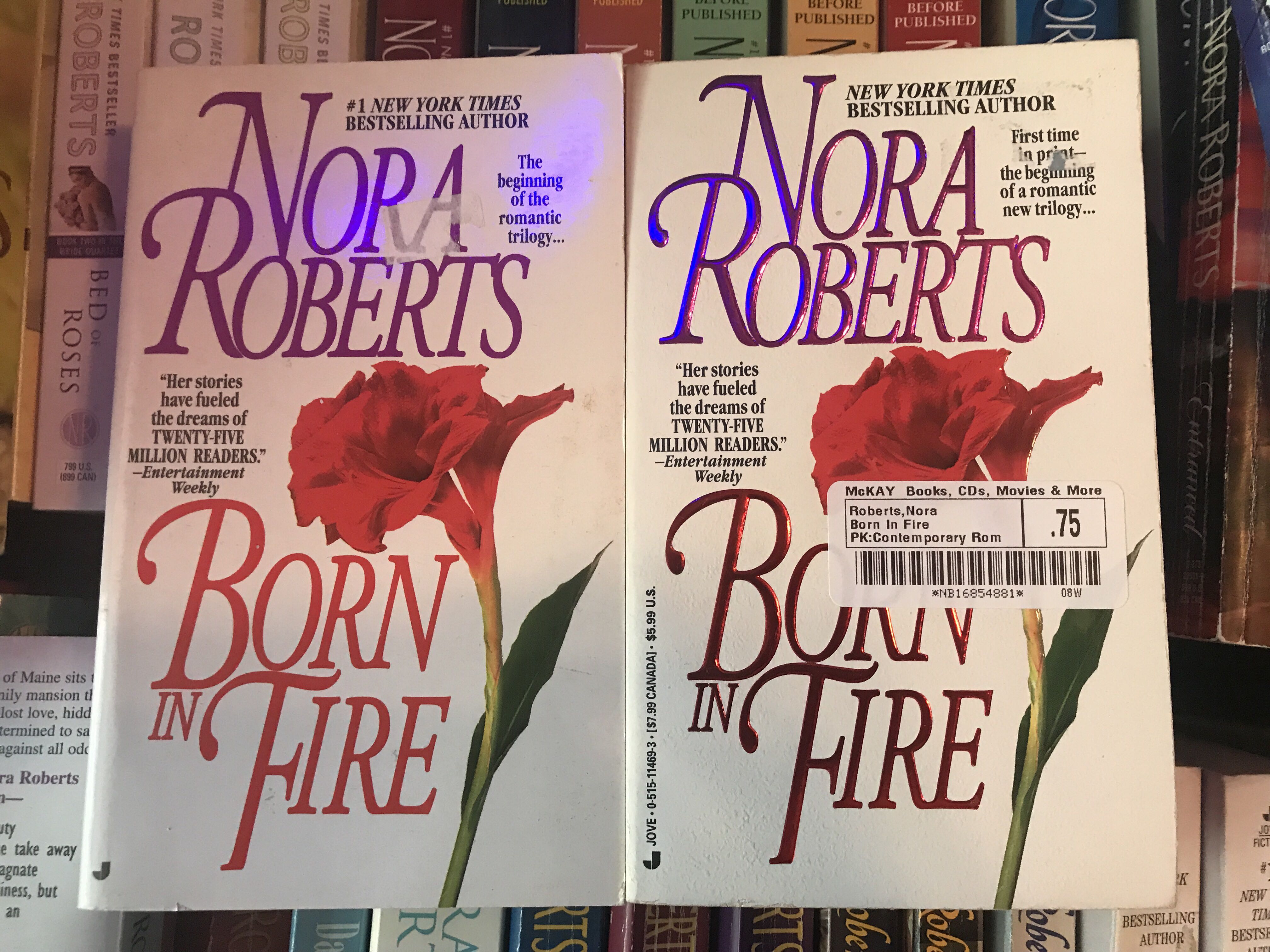 Born in Fire - Nora Roberts (Penguin - Paperback) book collectible [Barcode 9780515114690] - Main Image 4