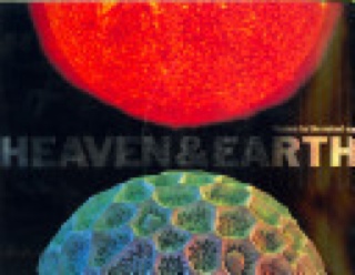 Wind In The Willows, The