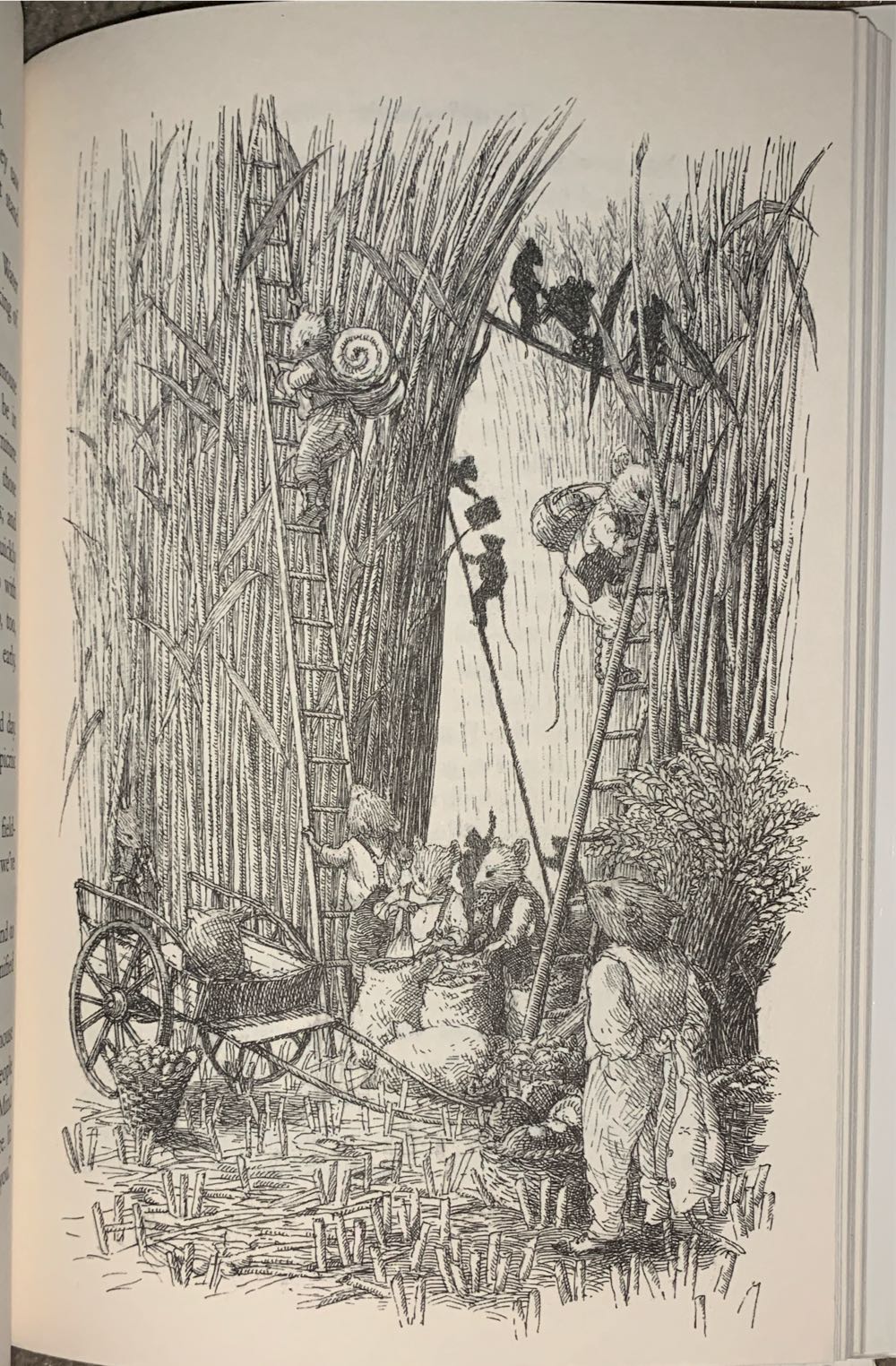 The Wind In The Willows - Grahame, Kenneth (Macmillan - Hardcover) book collectible [Barcode 9780312136246] - Main Image 4