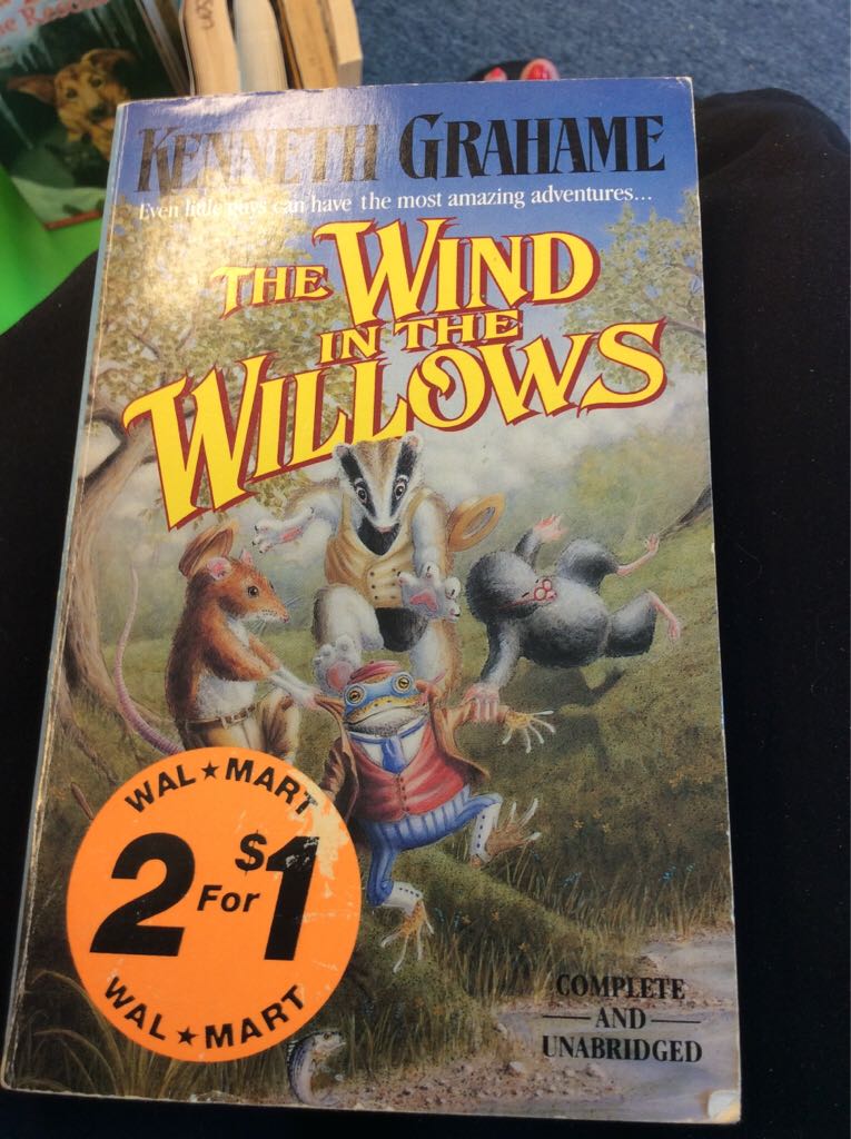 My Side Of The Mountain