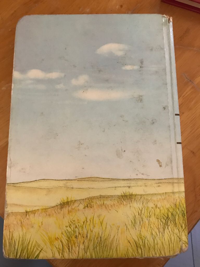 Little House On The Prairie - Laura Ingalls Wilder (Puffin - Paperback) book collectible [Barcode 9780749709303] - Main Image 2