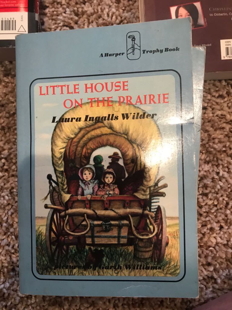 Wind In The Willows, The