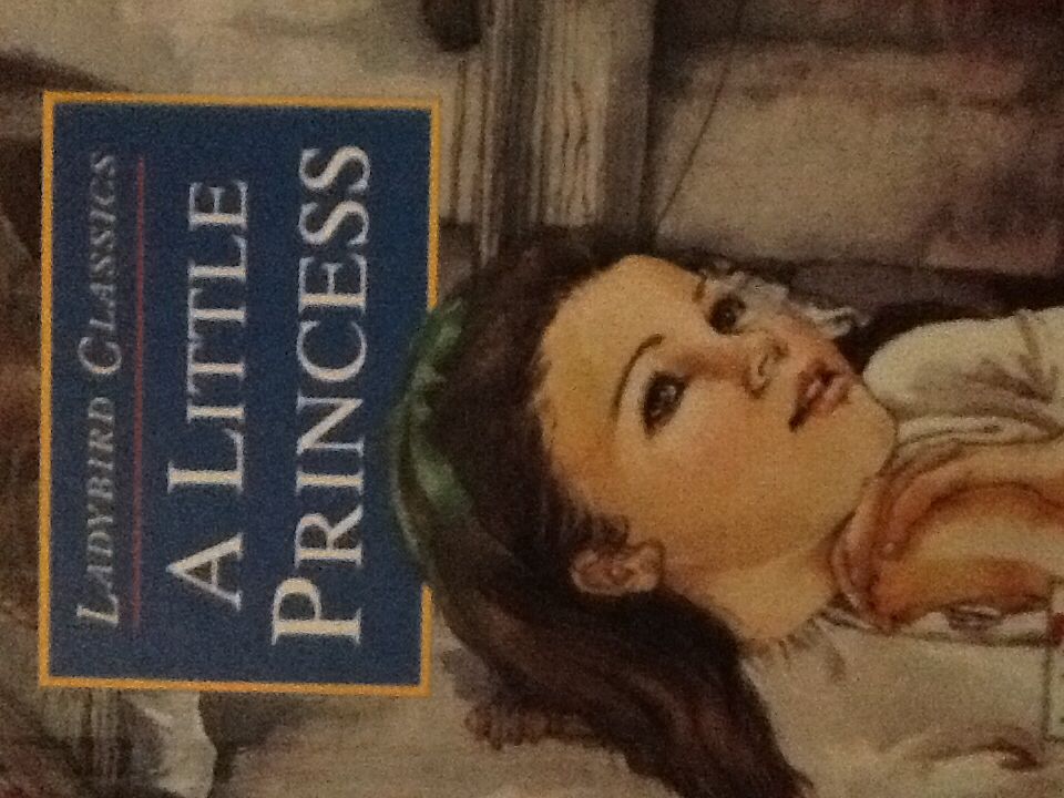 A Little Princess (A Stepping Stone Book)