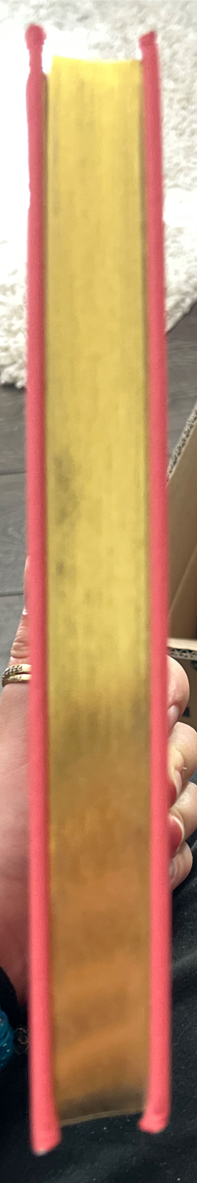 A Little Princess - Frances Hodgson Burnett (Barnes And Noble Classics - Hardcover) book collectible [Barcode 9781435158177] - Main Image 3