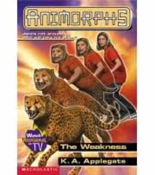 Die Bucht am Ende der Welt