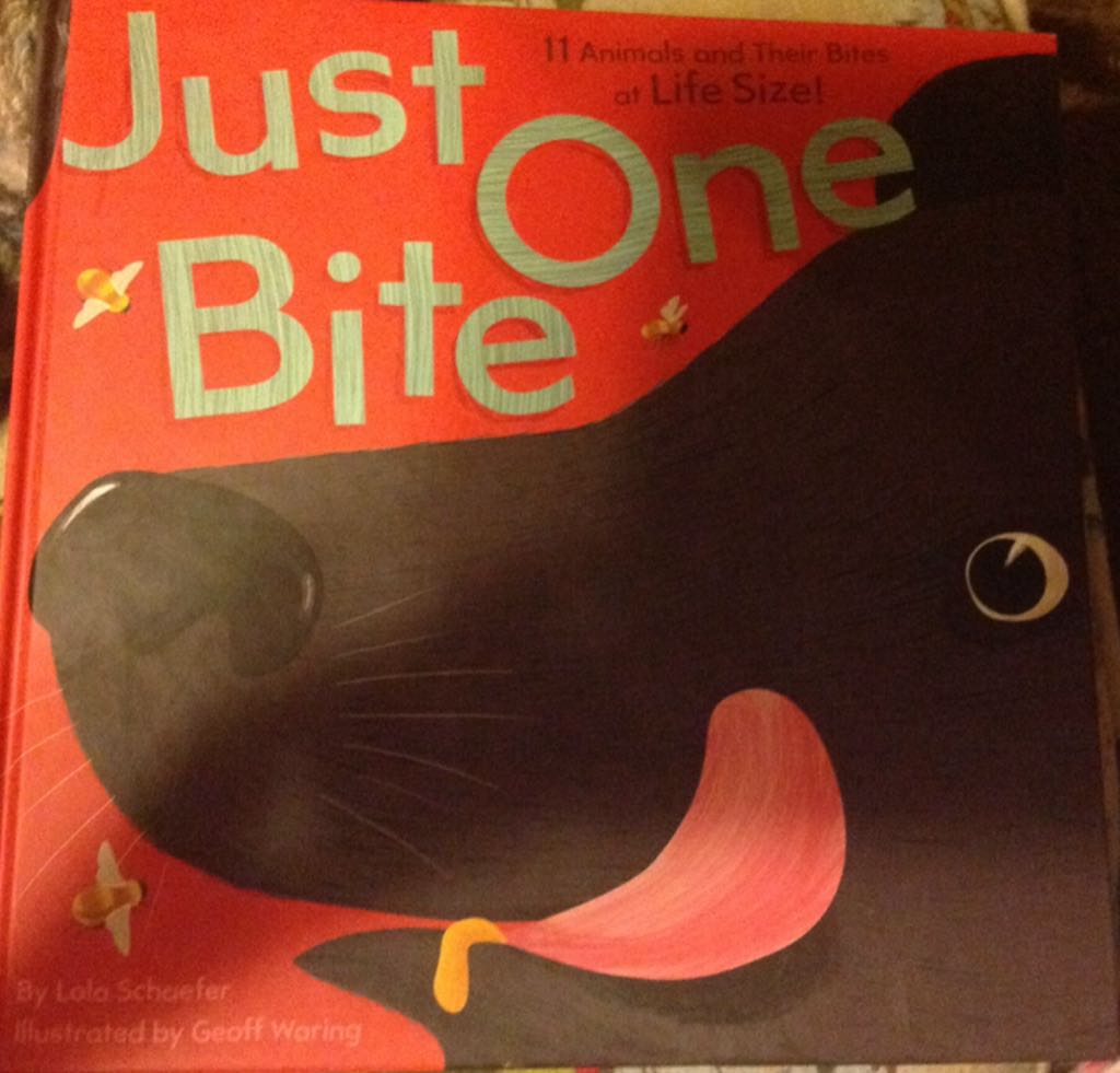 Heaven and Earth: Global Warming, the Missing Science