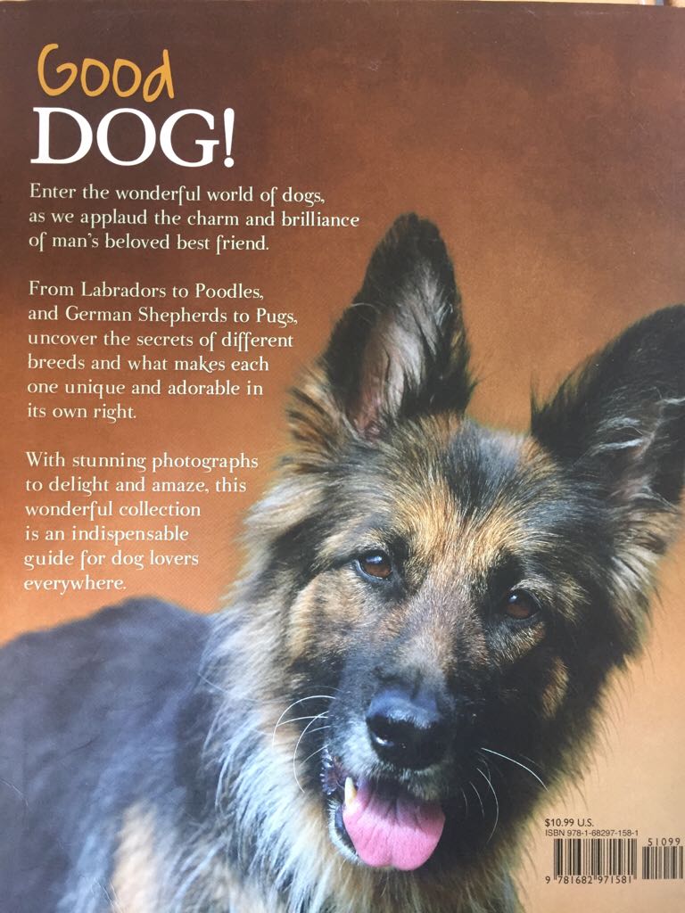 Good Dog - Bob Balaban book collectible [Barcode 9781682971581] - Main Image 2