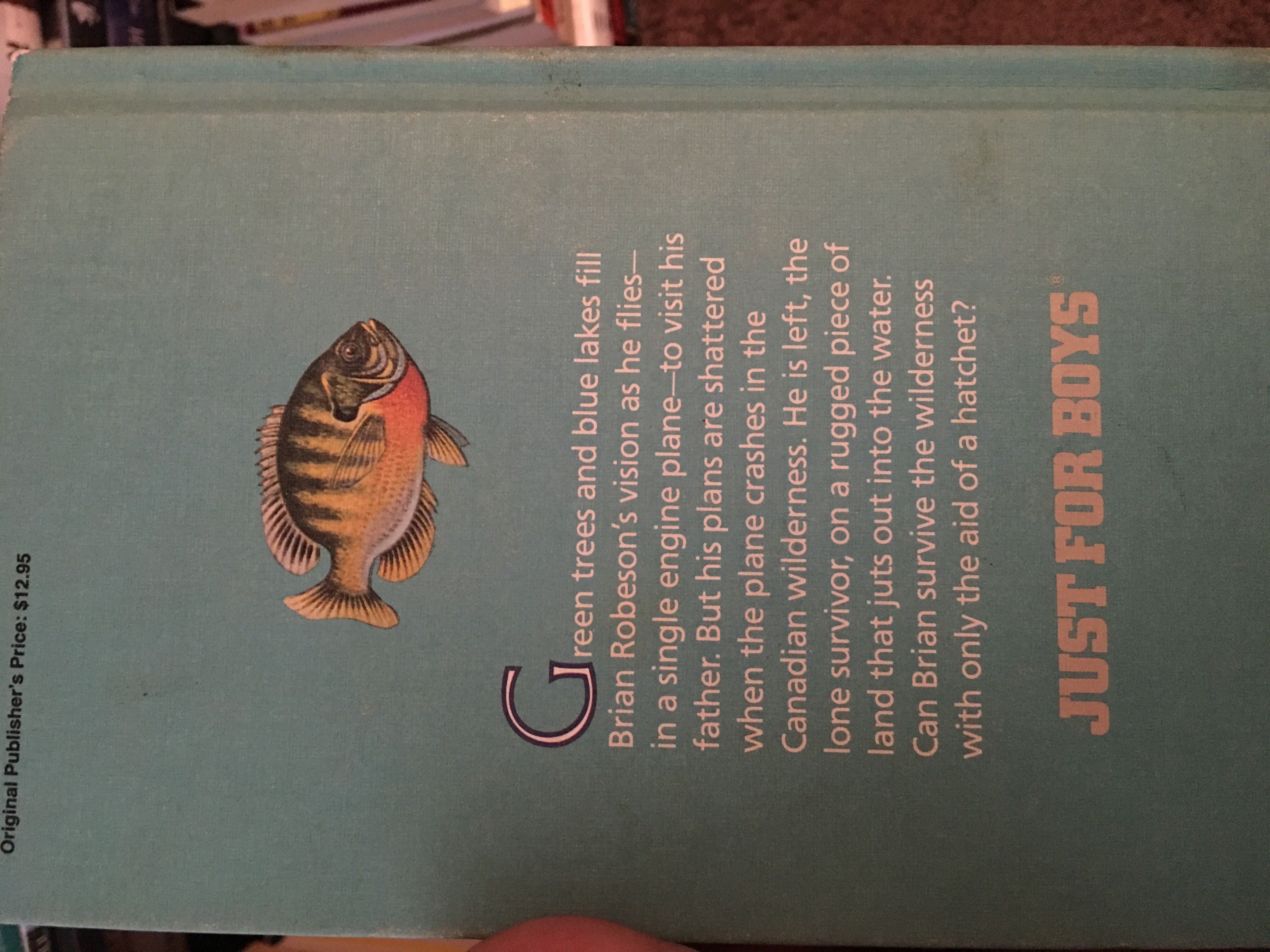 Hatchet - Gary Paulsen book collectible [Barcode 9780130641441] - Main Image 2