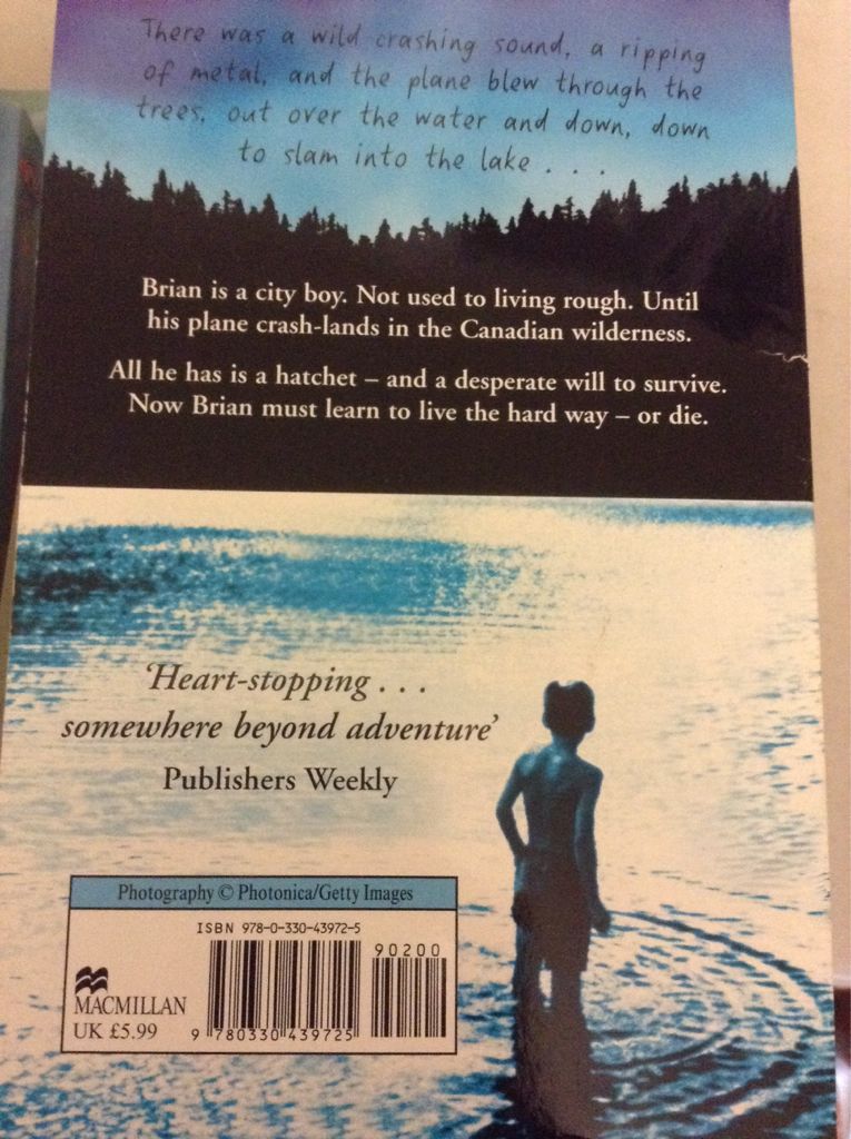 Hatchet - Paulsen, Gary (Thorndike Pr - Paperback) book collectible [Barcode 9780330439725] - Main Image 2