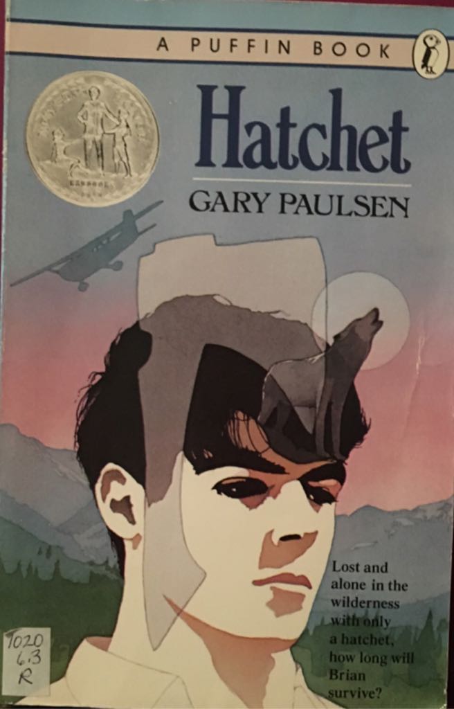 Hatchet book collectible - Main Image 1