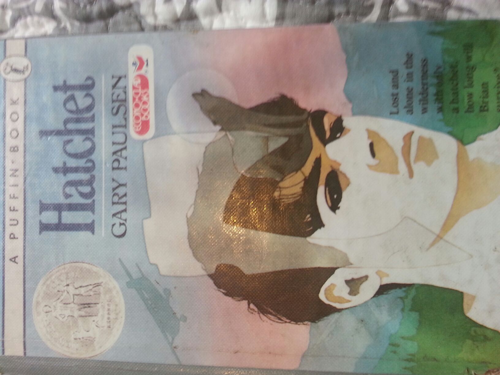 Hatchet book collectible - Main Image 1
