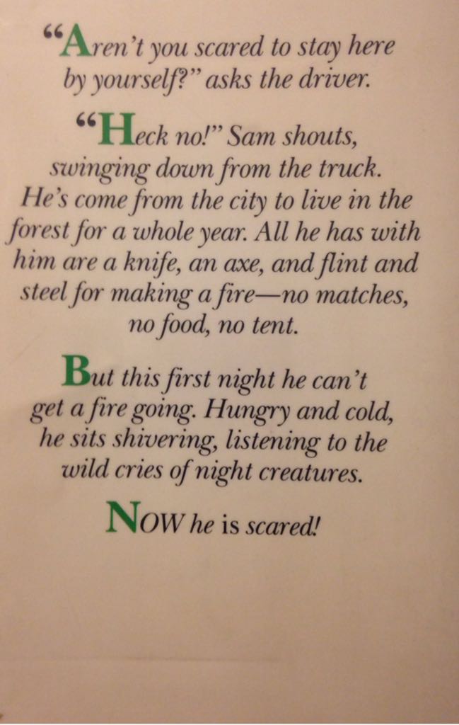 My Side Of The Mountain - Jean Craighead George (Penguin Putnam - Trade Paperback) book collectible [Barcode 9780141311876] - Main Image 2