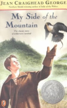 My Side Of The Mountain 1: My Side of the Mountain - Jean Craighead George (Puffin - Paperback) book collectible [Barcode 9780141312422] - Main Image 1