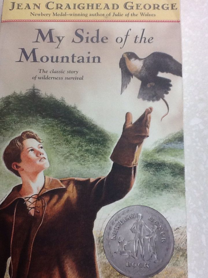 Image 3565739
