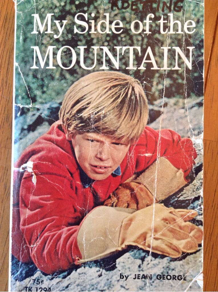 Picnic At Hanging Rock