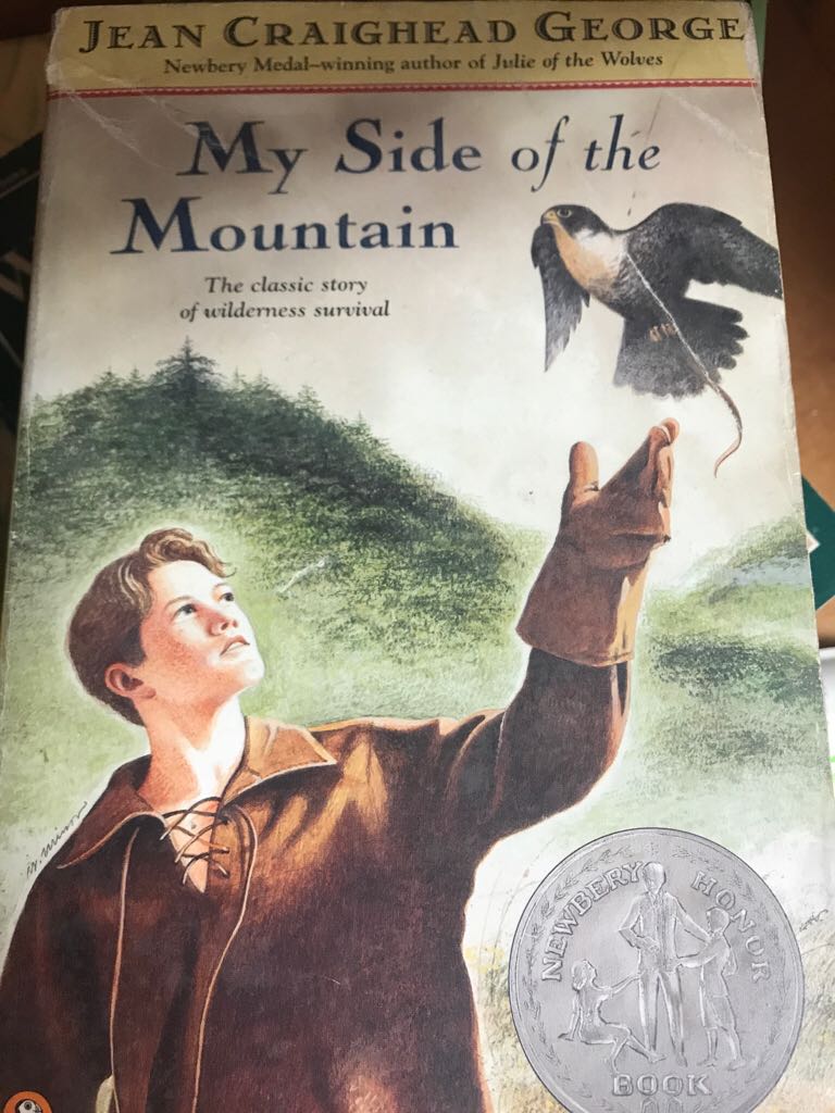 P&T15-The Other Queen: Plantagenet And Tudor