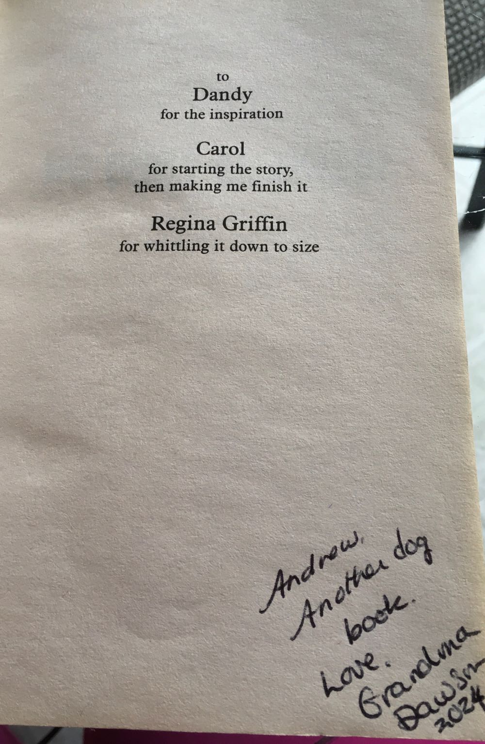 No Dogs Allowed! - Bill Wallace (Aladdin - Paperback) book collectible [Barcode 9781416903819] - Main Image 3