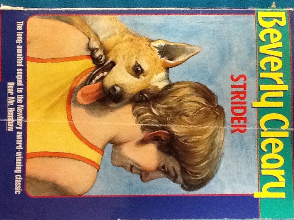 Resort Design Planning, Architecture, and Interiors