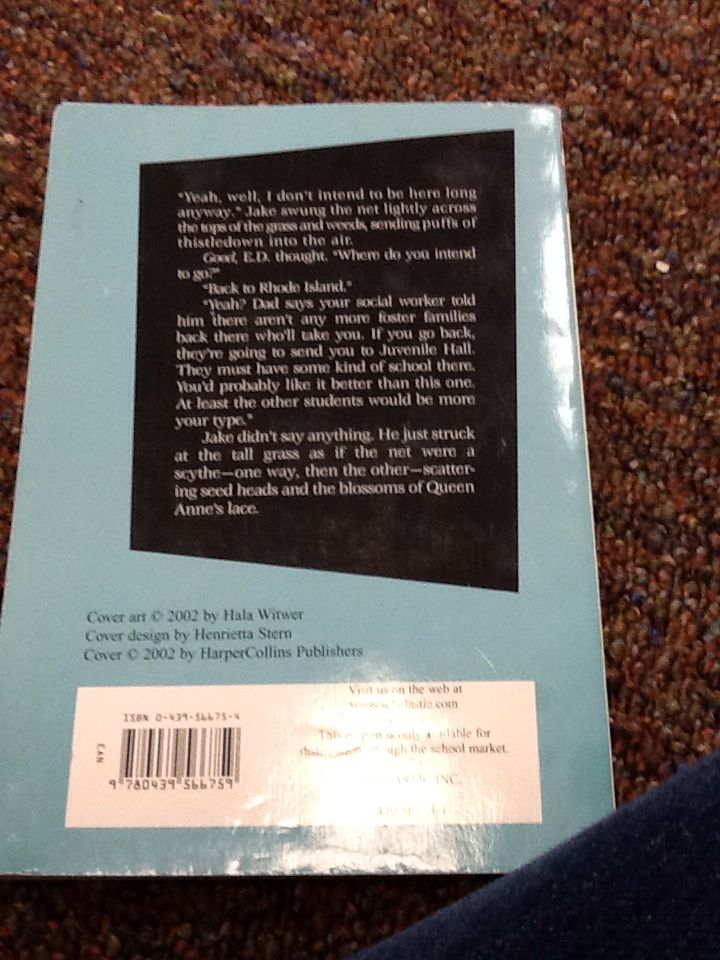 Surviving The Applewhites (Newbery) - Lucas - 12 Year Old Girl, Home School, Foster Care, F Word, Bombs, Sound Of Music, Butterflies - Lilly 2025 - Stephanie S. Tolan (- Paperback) book collectible [Barcode 9780439566759] - Main Image 2