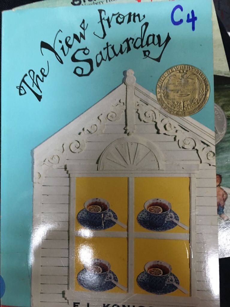 My Side Of The Mountain