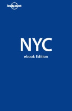 Lonely Planet - New York City Guide - Beth Greenfield (Lonely Planet - Paperback) book collectible [Barcode 9781741795912] - Main Image 1