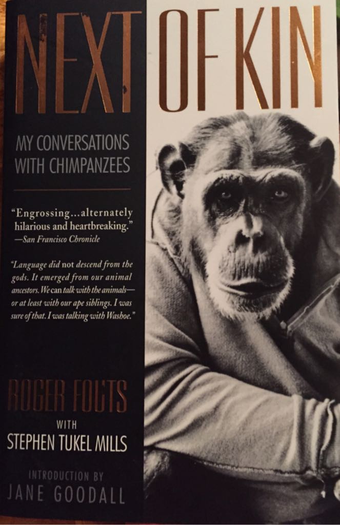 Gorgeous Cross-stitch