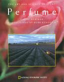 Wind In The Willows, The