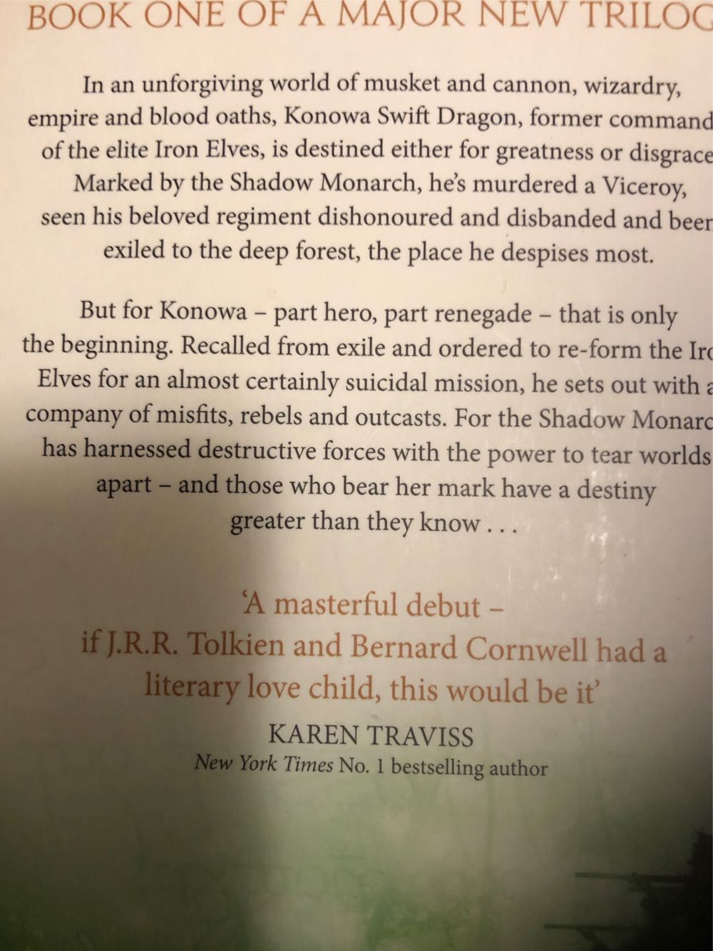 A Darkness Forged In Fire - Chris Evans (Pocket Books - Paperback) book collectible [Barcode 9781847393814] - Main Image 2