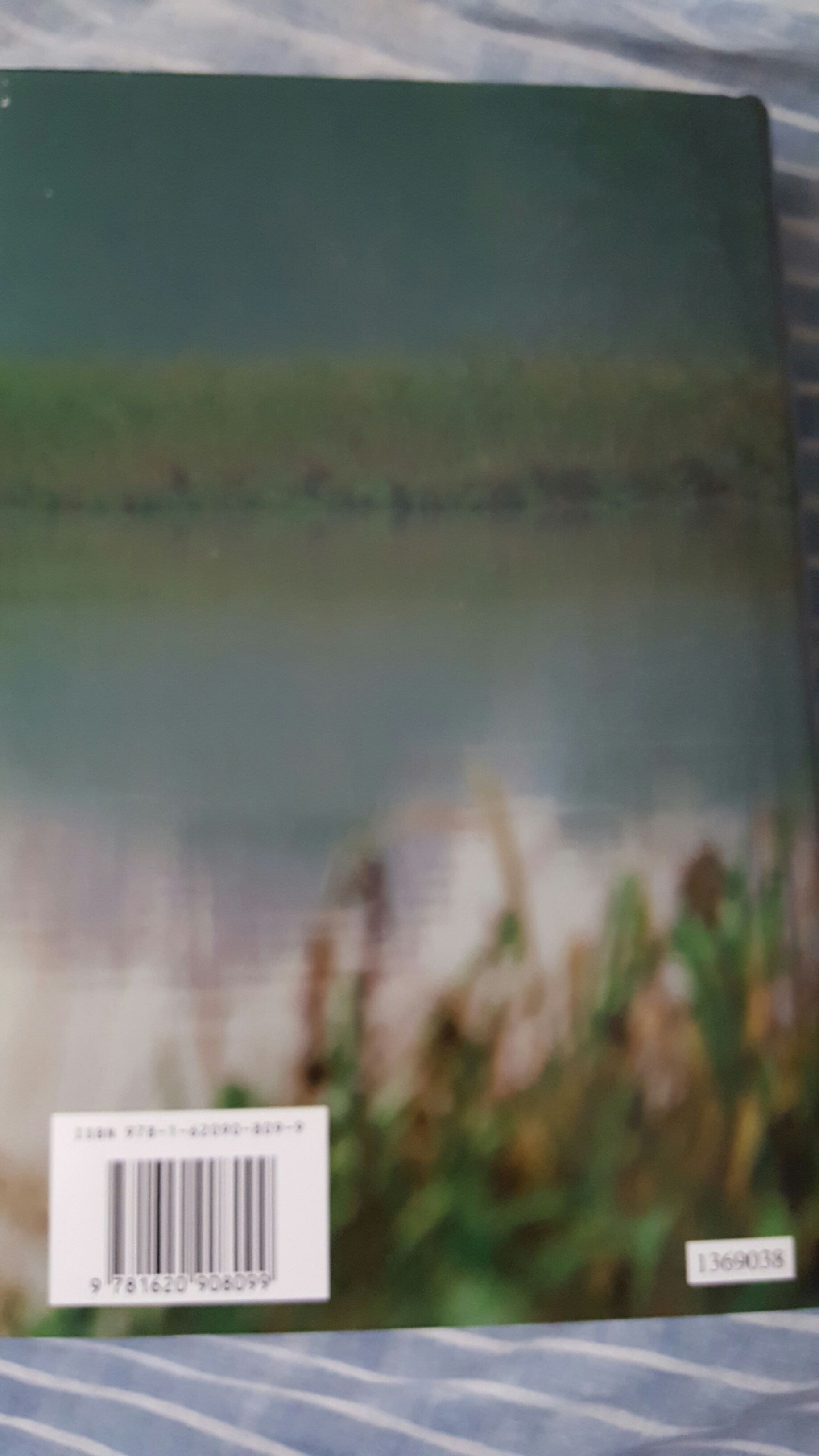 Invisible - Carla Buckley (Bantam Books - Hardcover) book collectible [Barcode 9781620908099] - Main Image 2